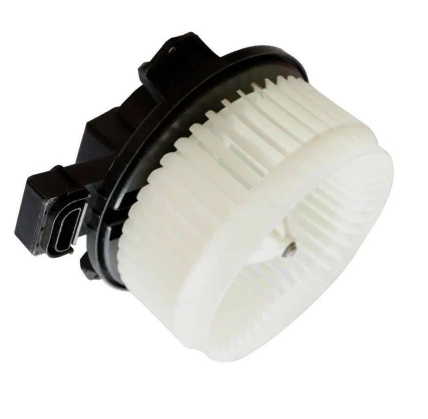 ماطور فان دشبول عكرب عام 2008 - 